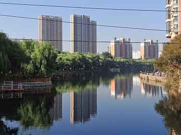 有基zz最新地址手机，学习变化，自信成就梦想之路