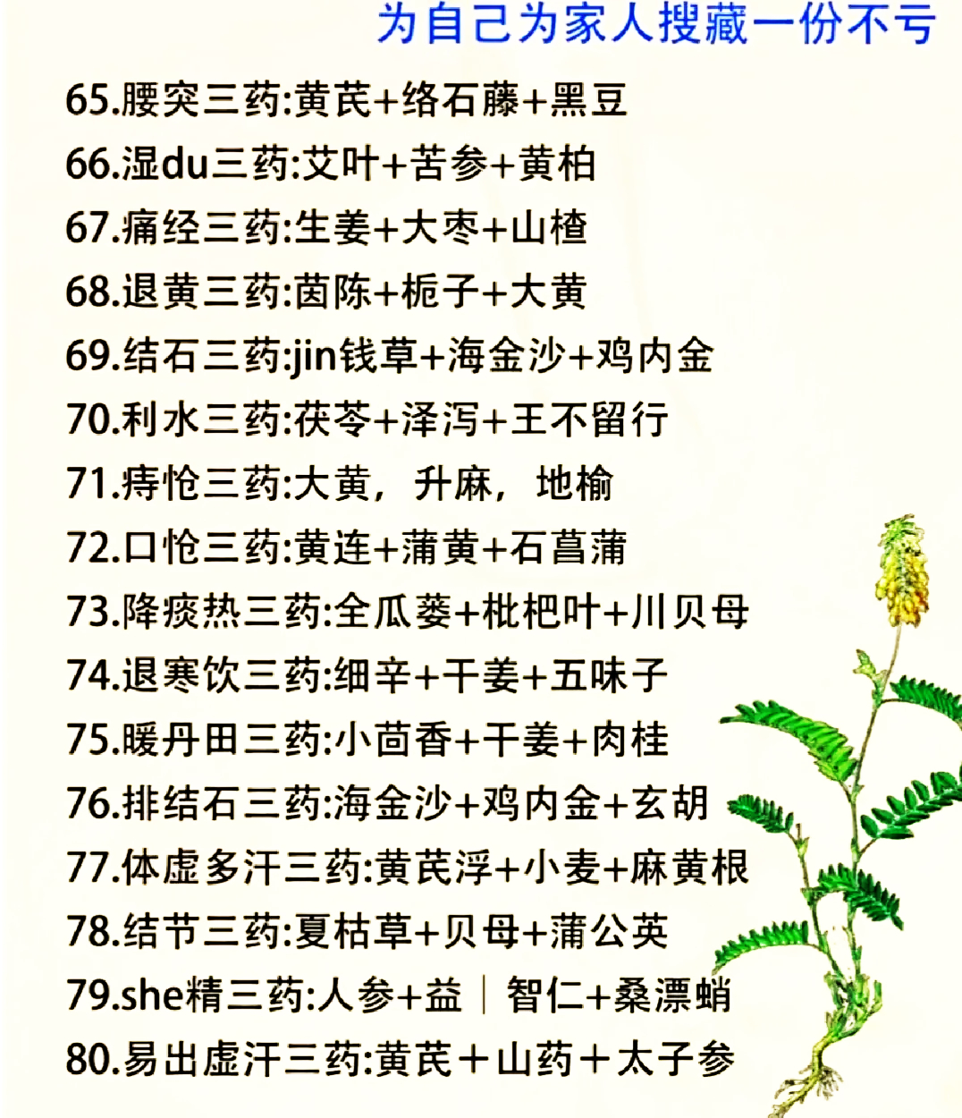 配伍禁忌表最新版,配伍禁忌表最新版，变化、学习与自信的力量