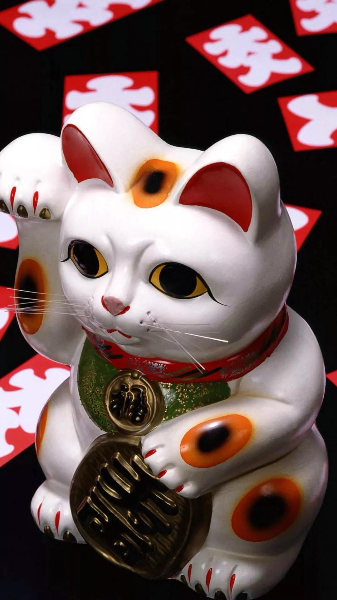 招财猫最新动态及观点论述揭秘