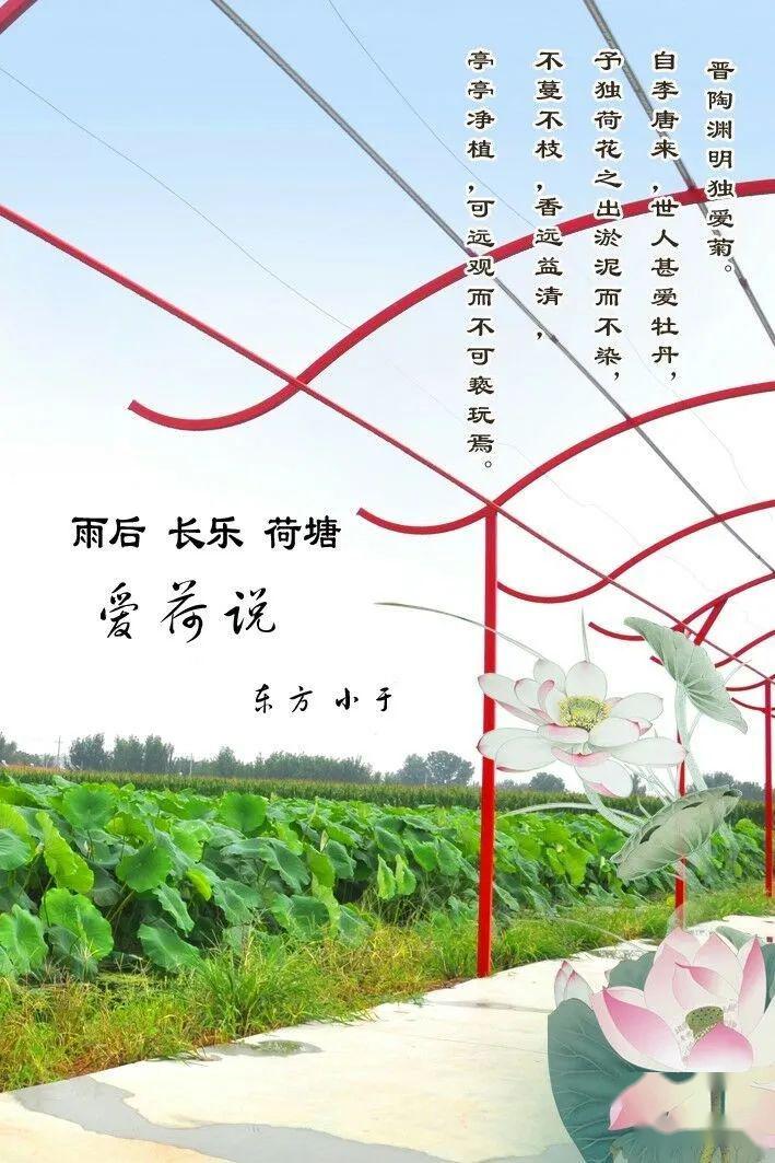 滦平小巷深处的独特风味，特色小店最新报道