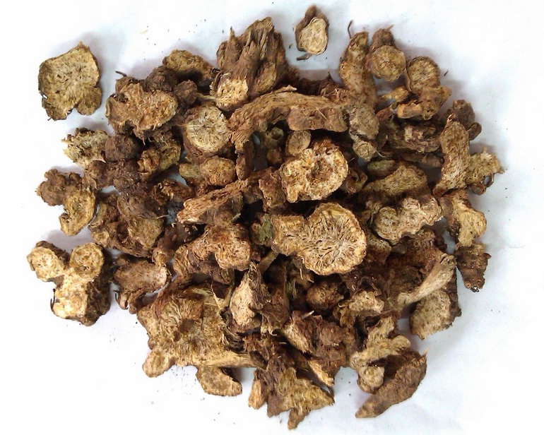 揭秘最新苍术价格走势动态