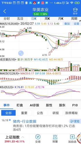 华英农业最新动态，发展趋势、挑战与前景展望