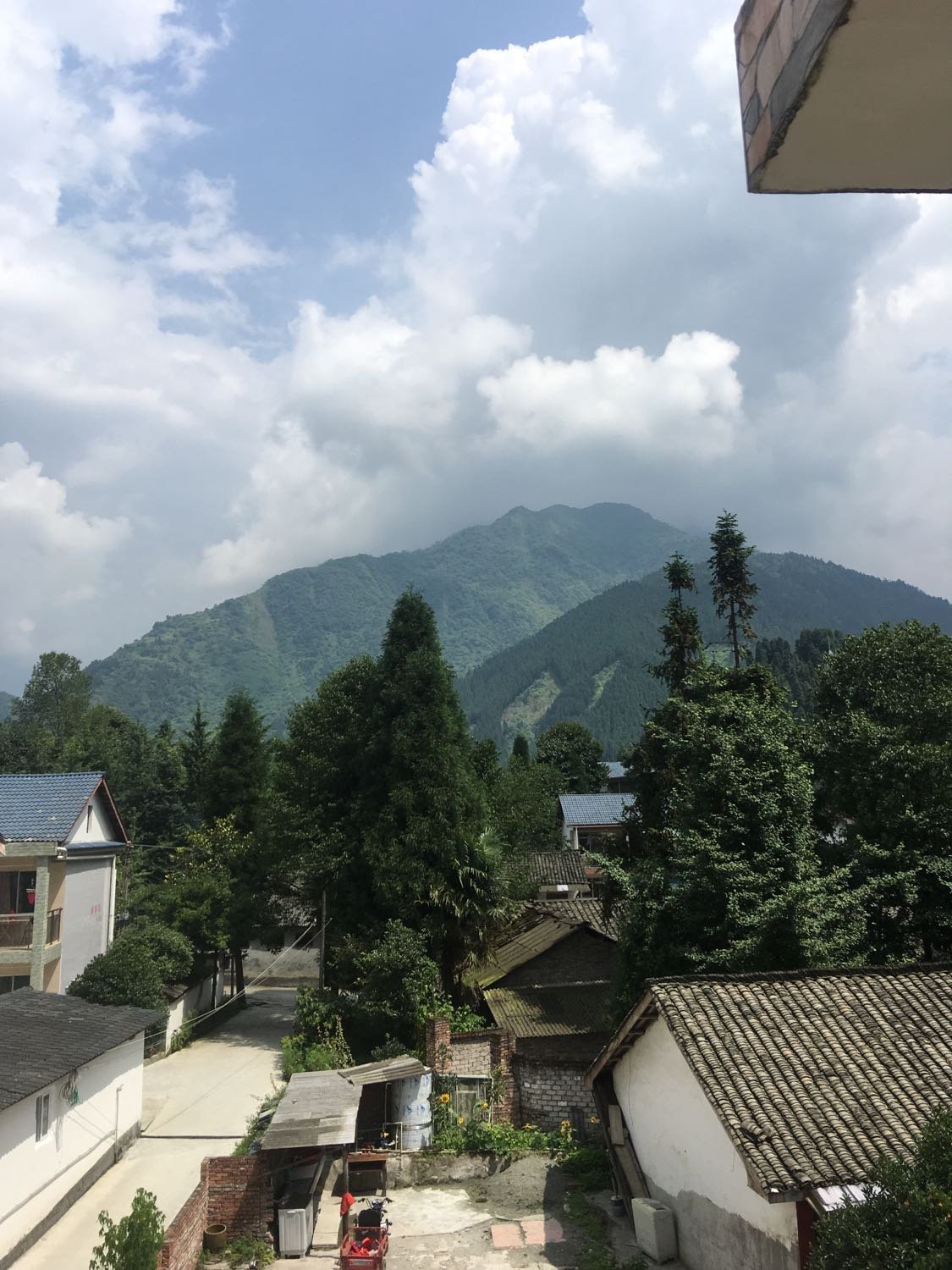 崇州天气预报最新,🌦️崇州天气预报最新🌦️
