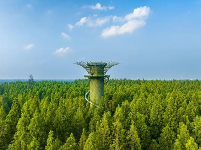 威龙股份，自然美景的探索之旅最新消息速递