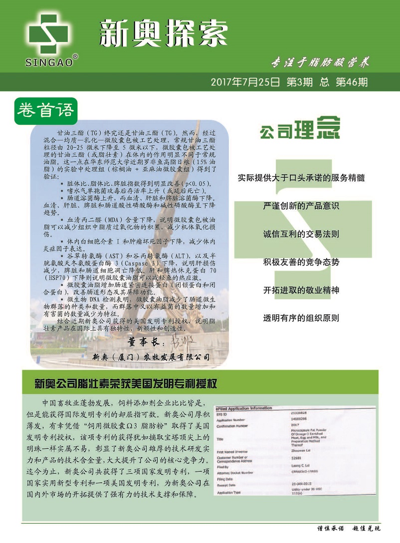 2024新奥资料免费,稳固执行战略分析_NNS25.729融合版