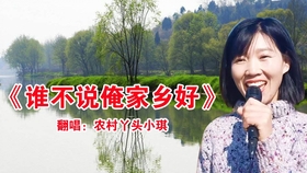 大庆小芳最新歌曲详解，获取与欣赏的指南（适用于初学者与进阶用户）