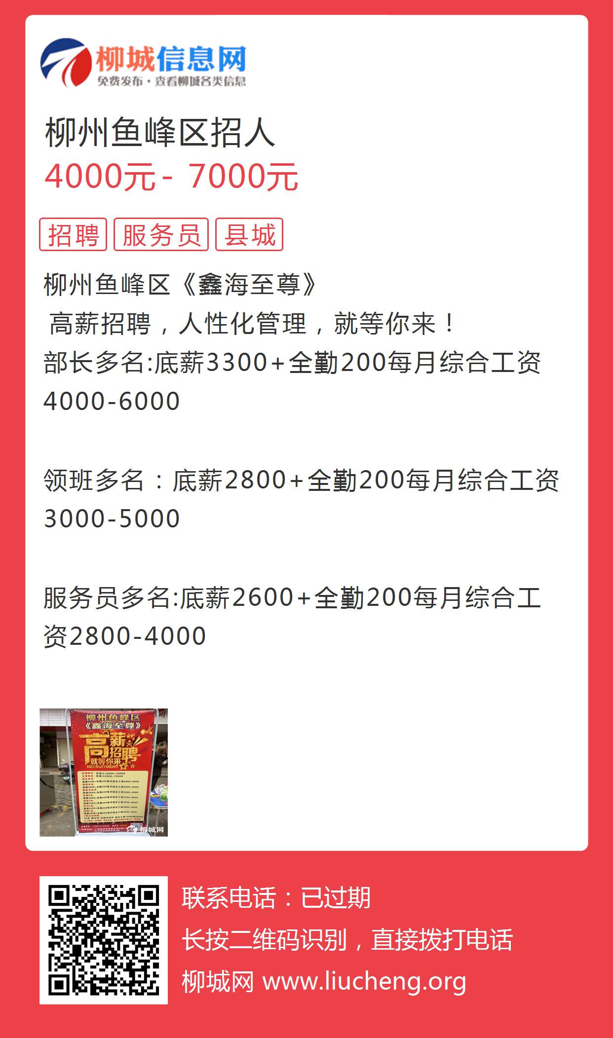 金城江最新招聘信息探秘，小巷中的职业宝藏