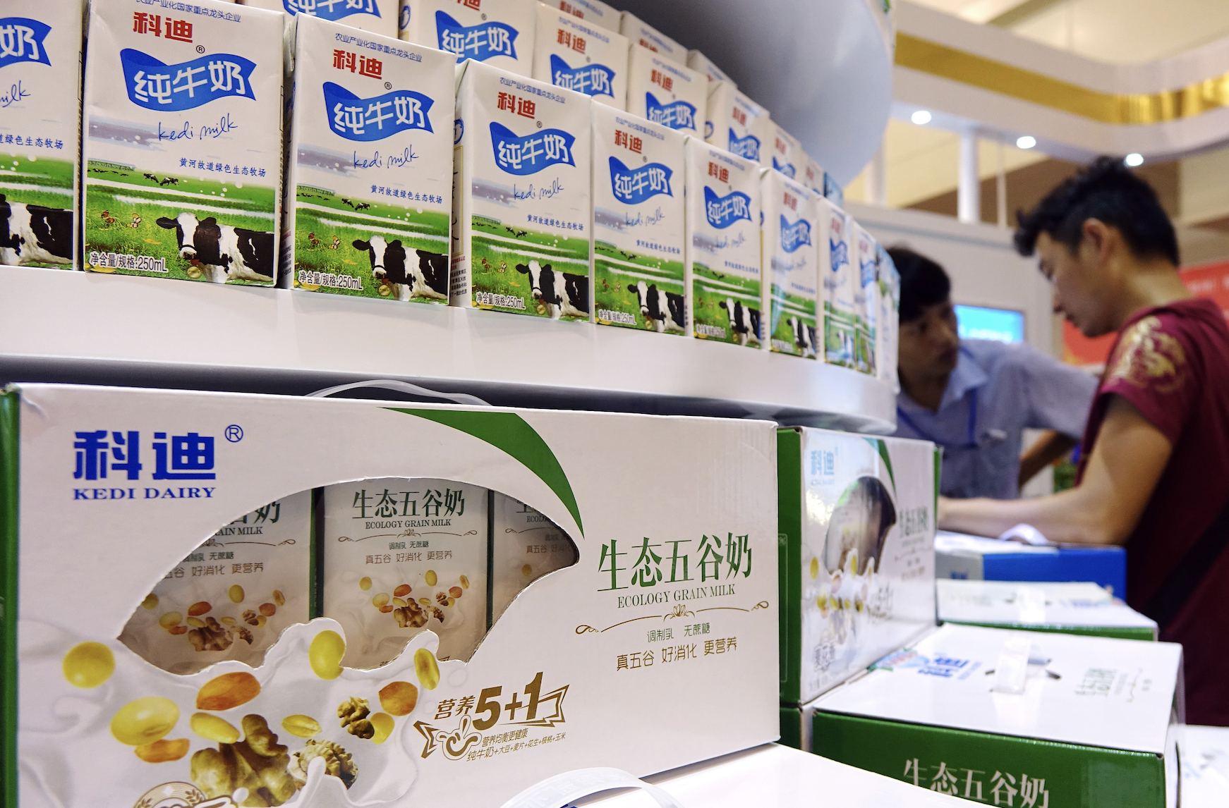 科迪乳业最新公告背后的故事揭秘，温馨细节引人关注