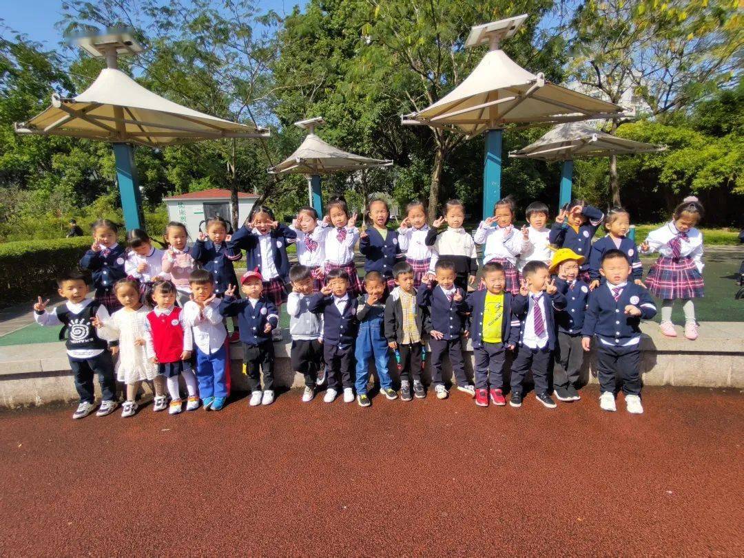 幼儿园大班探索自然之旅，最新口号喊响内心的宁静探索之路