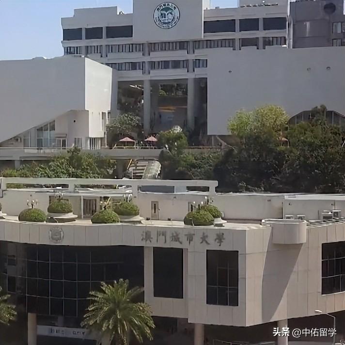 2024新澳门精准免费大全,数据整合设计执行_静态版78.605