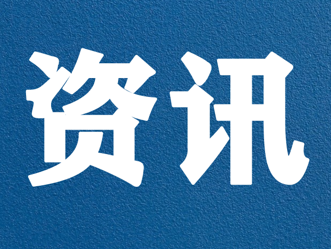 山东玉米最新价格揭秘，温情故事与今日密价