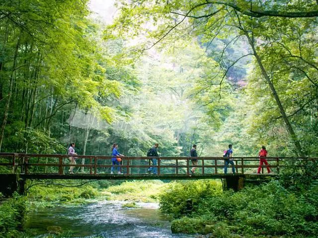张家界最新干部任免，自然美景之旅呼唤新领导力量