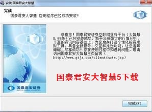 国泰君安大智慧最新版深度解析与观点阐述