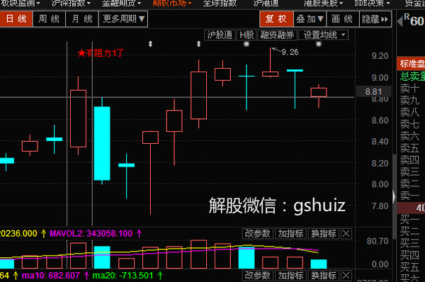 浪莎股份最新动态，深度分析与观点阐述