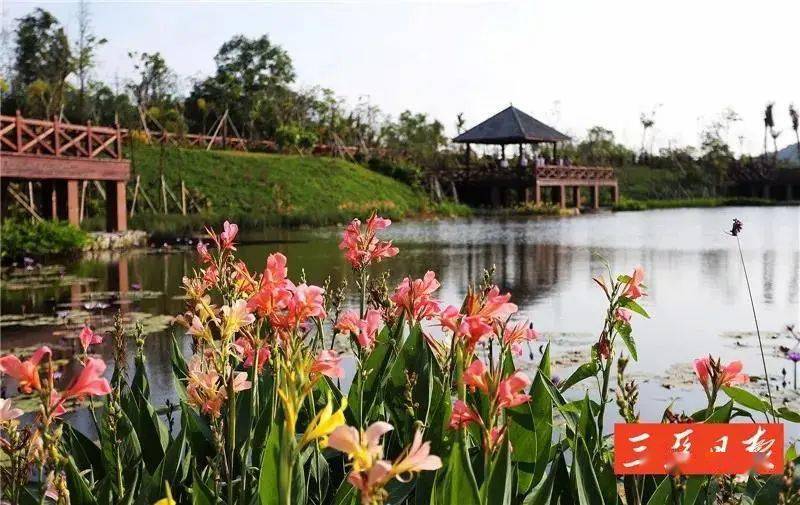久久鸭转让最新消息，自然美景之旅，探索内心平和与喜悦的旅程