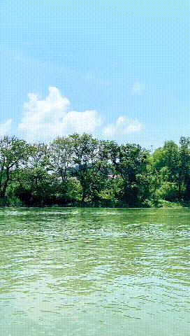 太仓浏河最新招聘信息揭秘，河畔求职奇遇记