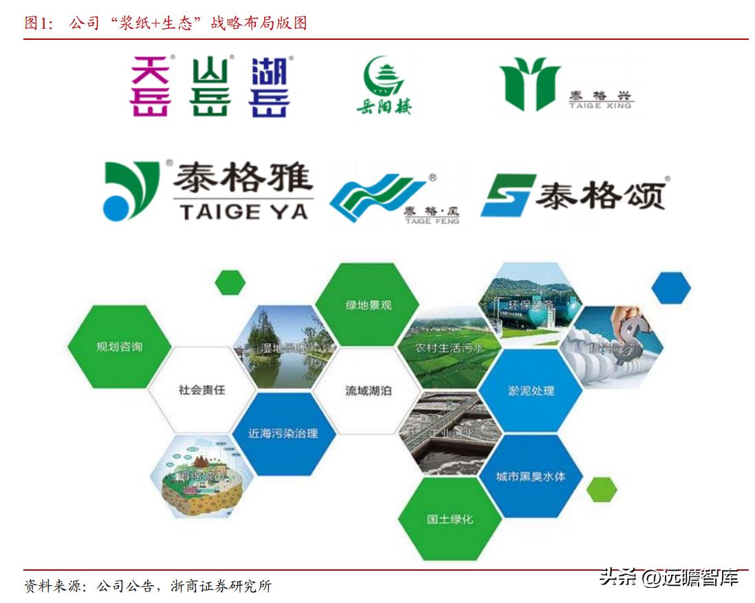 岳阳林纸股票最新动态与资讯📈📚