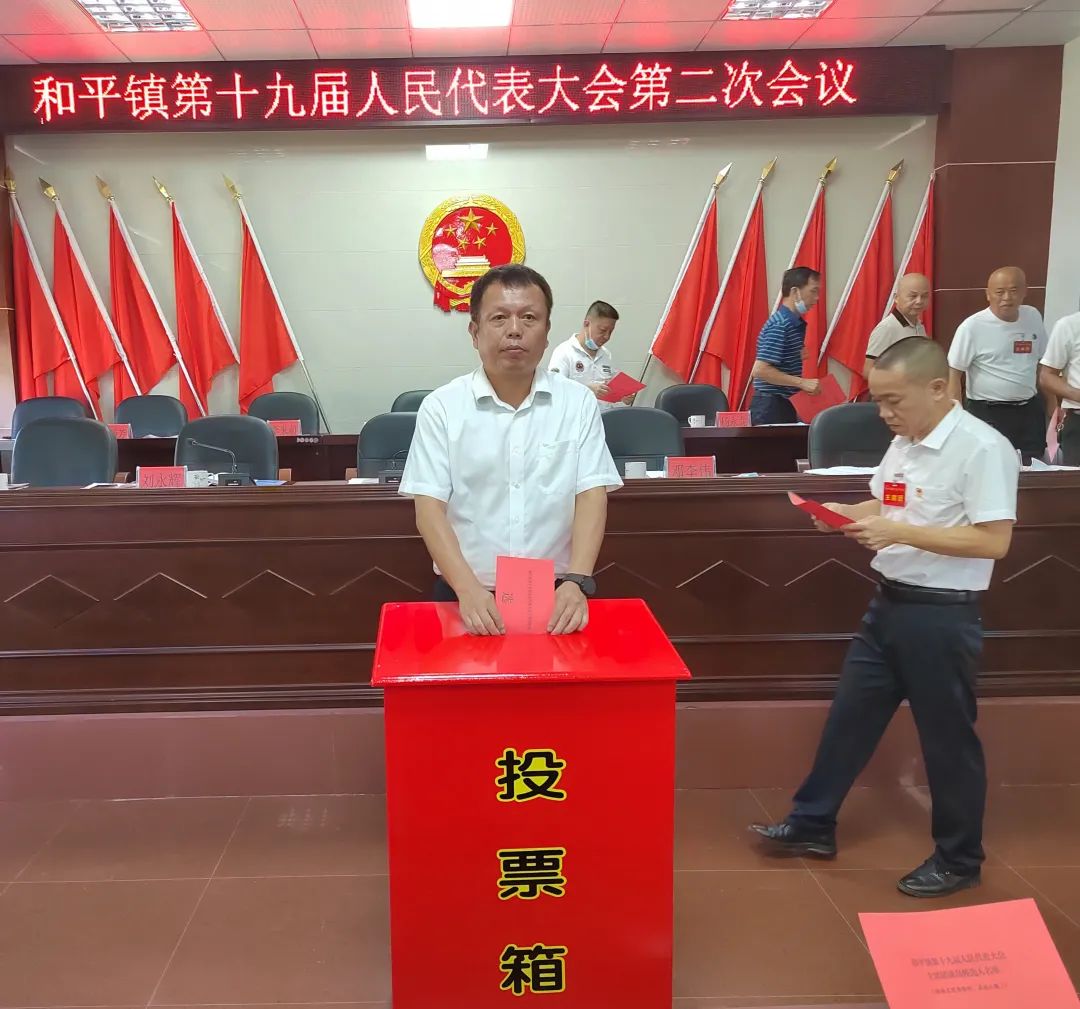 和平镇资讯速递，最新动态与资讯速递📰
