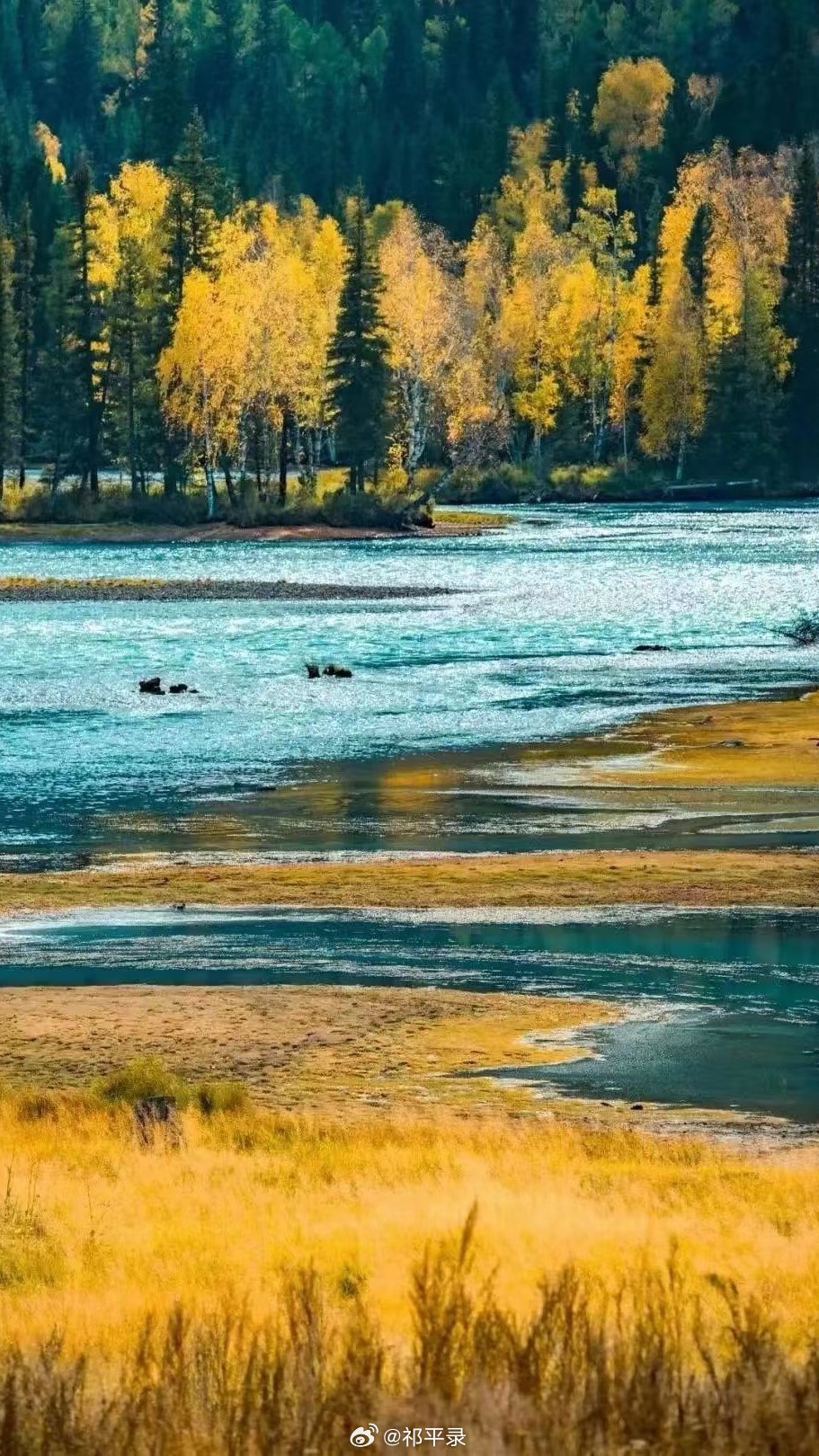 最新LL片，自然美景之旅，探寻内心平静与喜悦的旅程