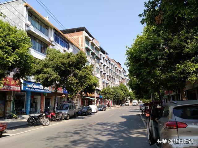 蛟龙最新号，小巷深处的独特风味探索