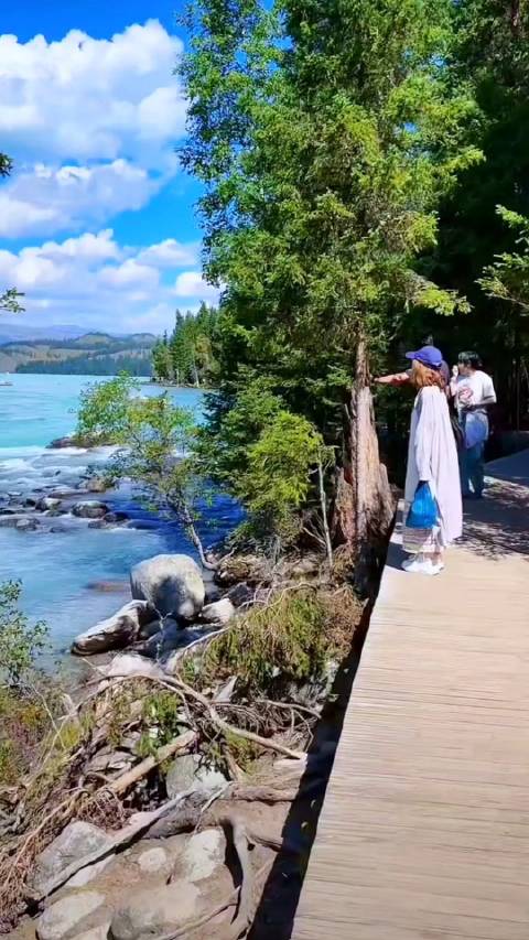 海豚吉他最新，自然美景之旅，探索内心平静与和谐的旅程