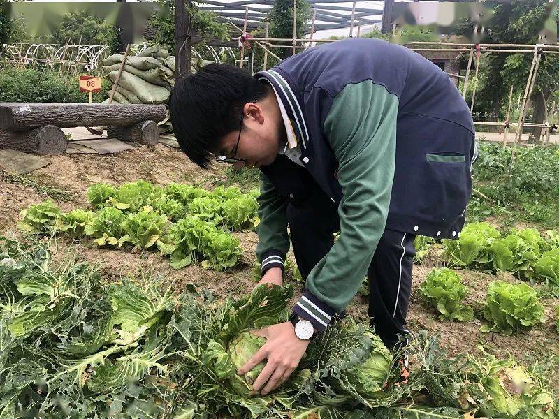 最新新闻评述，温馨日常中的爱与陪伴