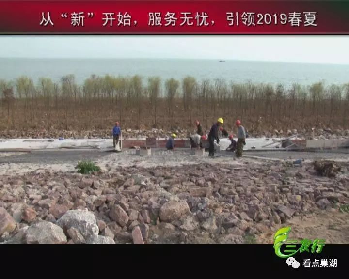 巢湖防汛最新动态更新，最新防汛消息汇总