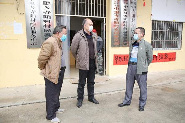 新冠疫情最新动态，今日形势分析与观点论述