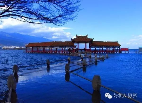 云南洱海最新动态，巷弄深处的美食秘境探秘