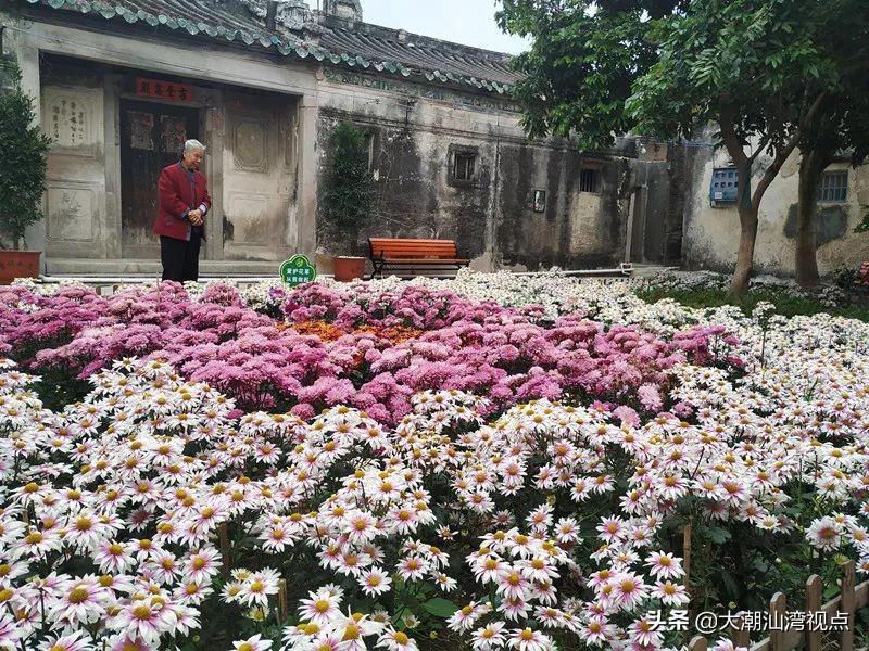 列车时刻表与车票查询，小巷中的秘密之旅最新信息