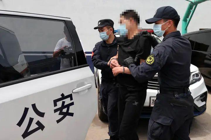 宁波最新命案，深度探究与观点阐述