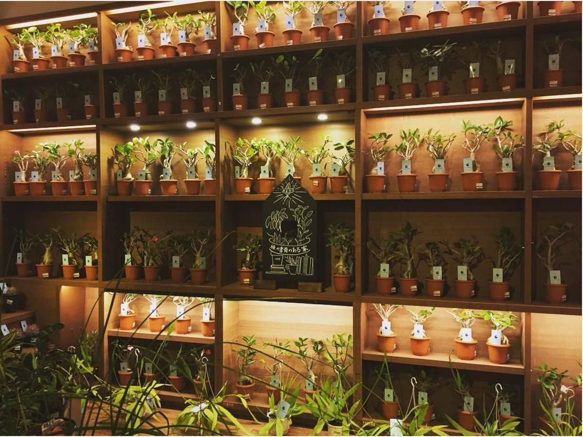 案例展示 第128页