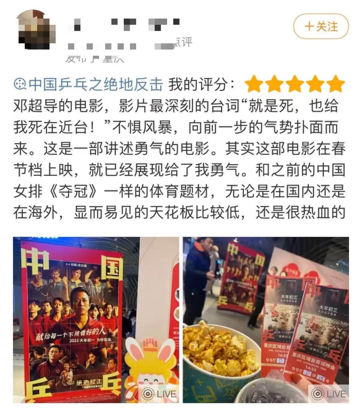国乒乓最新动态，热血战斗与技术革新的前沿进展