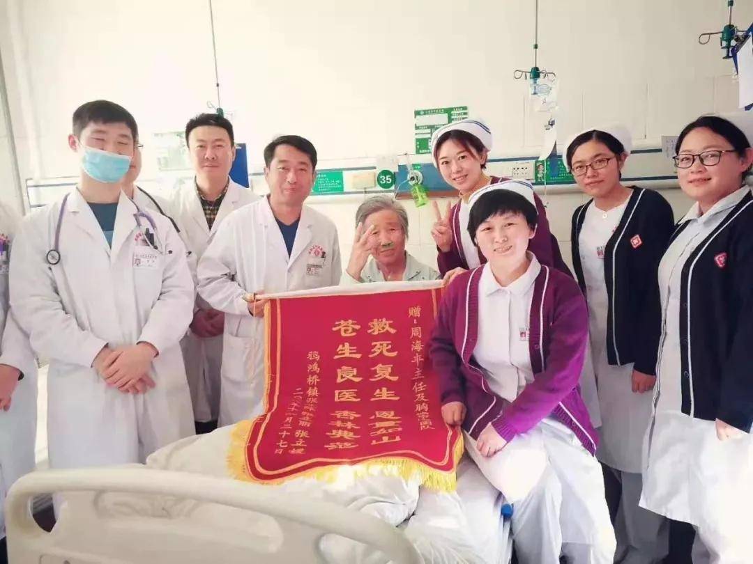 收养日记最新探索，收养过程中的要点与体验