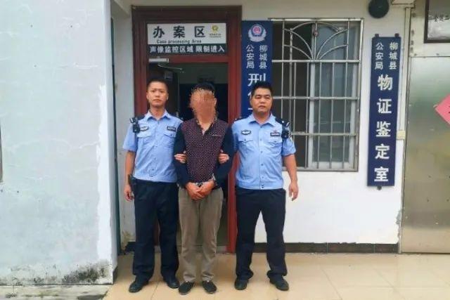 广西柳州最新命案，悲剧背后的深刻反思