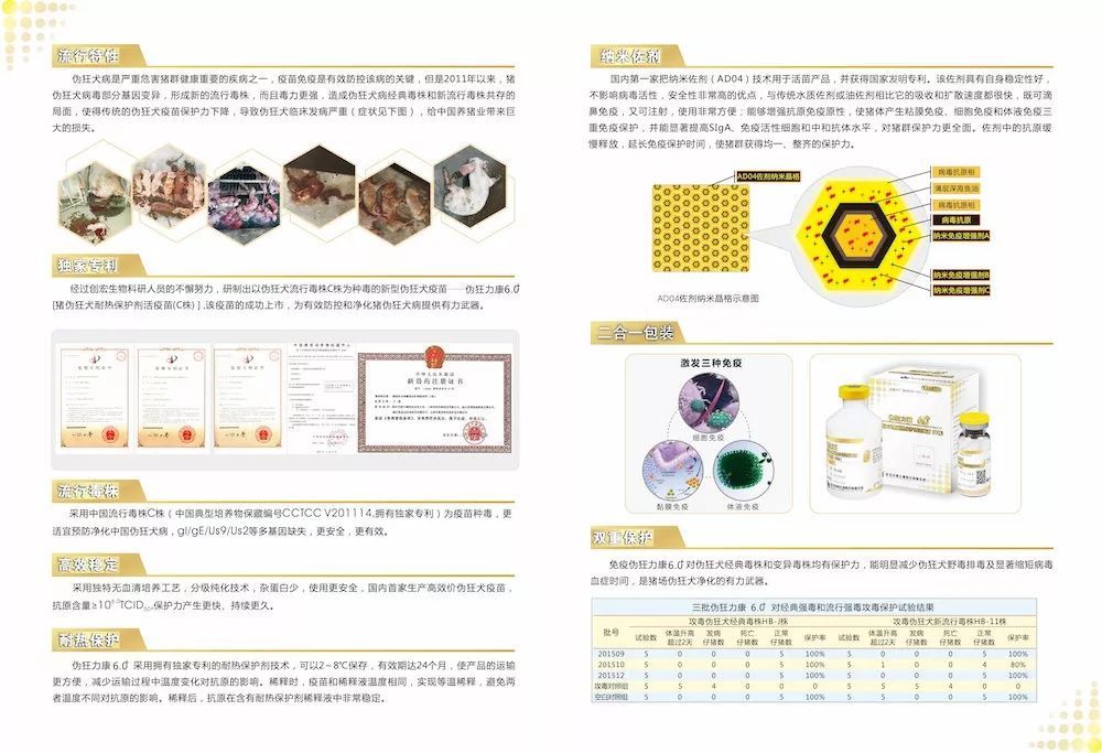 时代变迁与市场波动影响