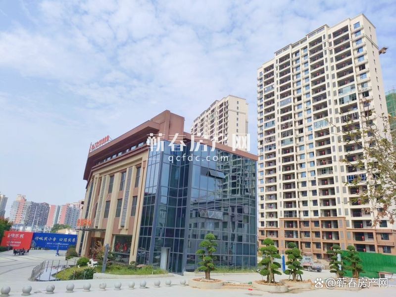 案例展示 第111页