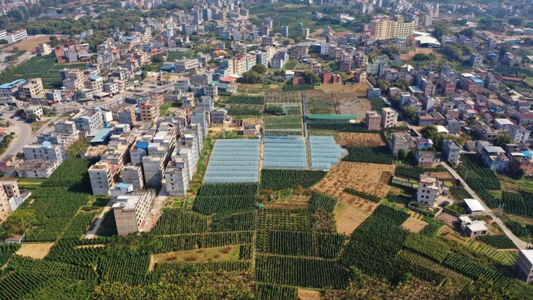 桂平最新楼盘，投资与居住的优选之地全解析