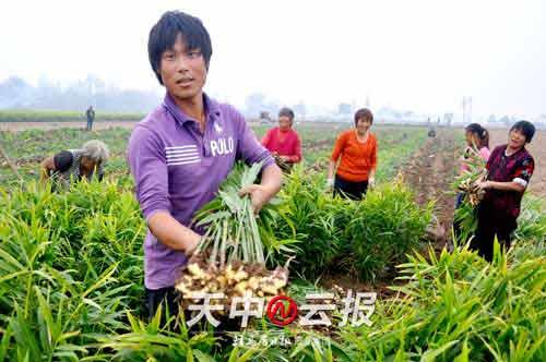 上蔡最新急招科技人才，引领科技潮流的高科技产品介绍