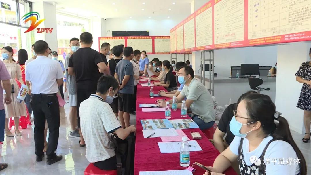 漳平最新招工现象深度解析，观点论述与洞察