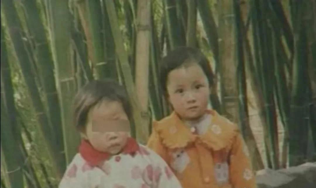 婷婷网站最新更新与获取资源途径深度探讨