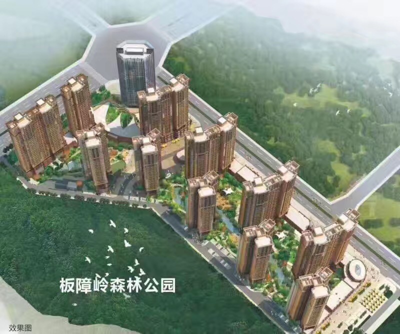 乐从最新楼盘的温馨生活日常