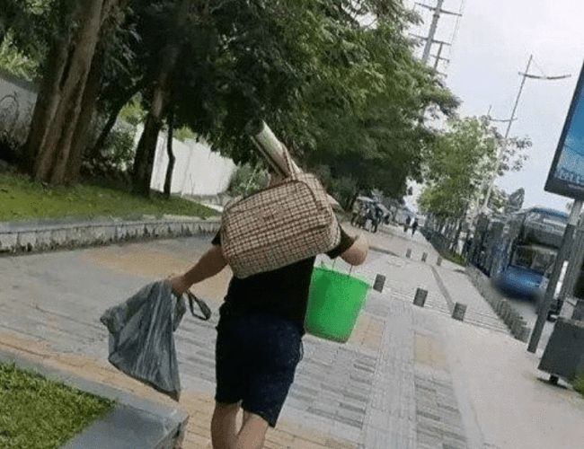 临朐最新失信名单，社会现象下的多元观点探讨与反思