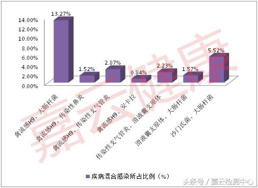 国内禽流感最新动态，全面解读与案例分析