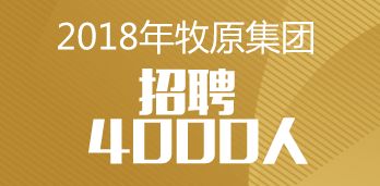 珠海新晨职介最新招聘，与大自然共舞，寻找内心的平和乐章之旅