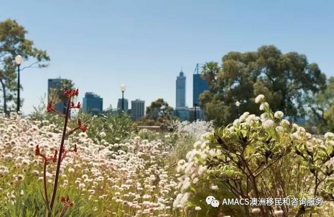 御花王朝最新地址揭秘，自然美景治愈之旅启程！