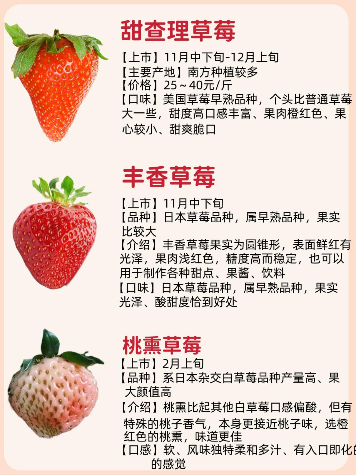 案例展示 第54页