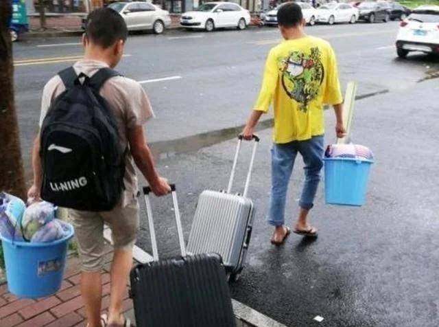 德露滋奶粉最新事件，变化中的学习与自信成就之旅