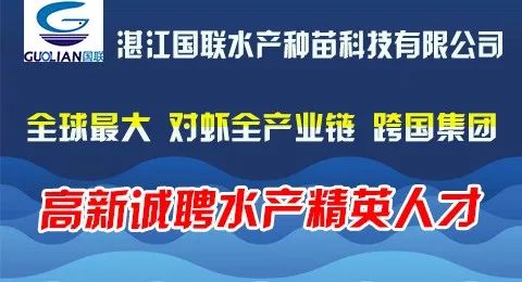 案例展示 第46页