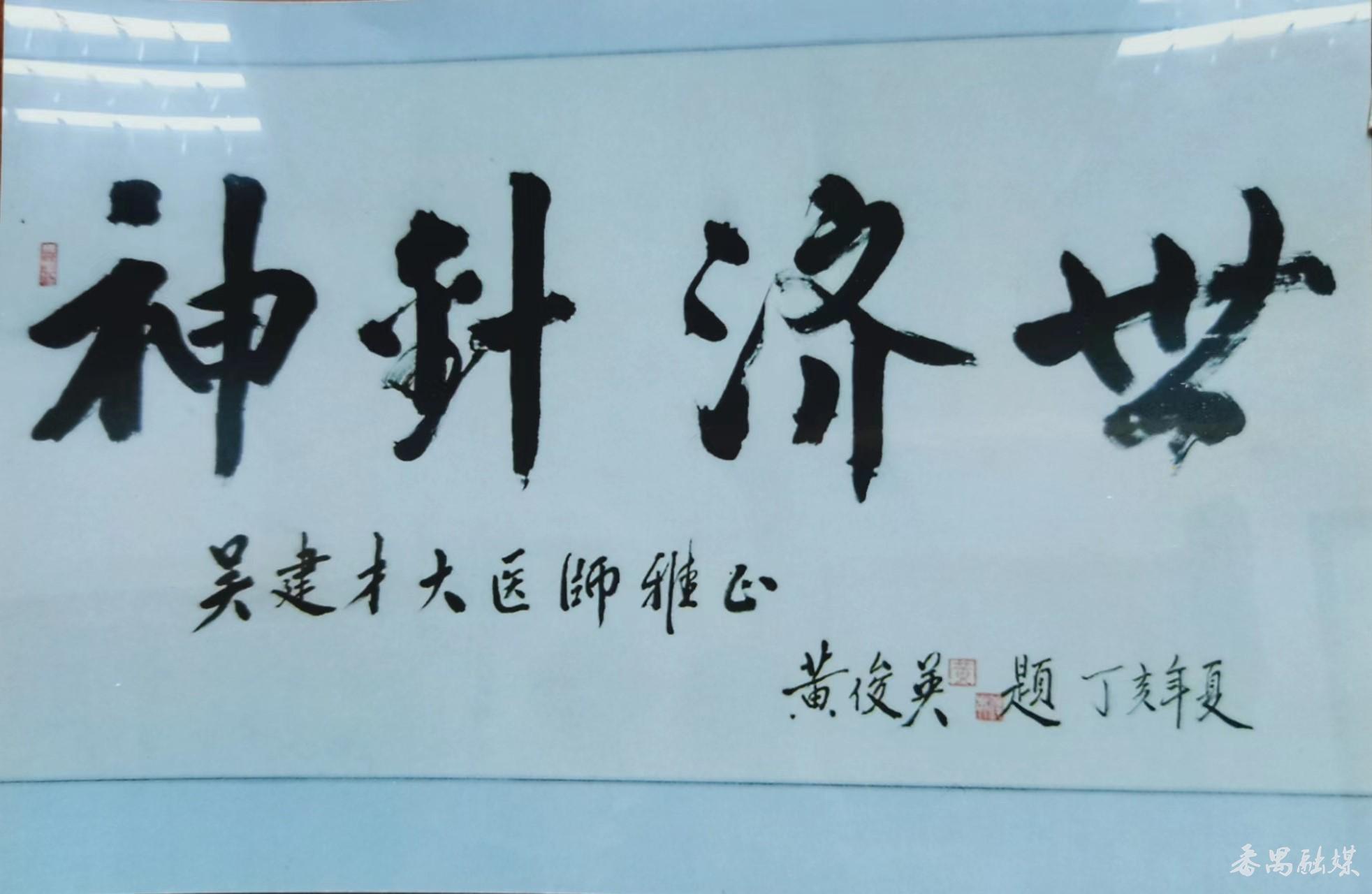 神针龙凤诀，医术传承与奇幻融合的魅力之源